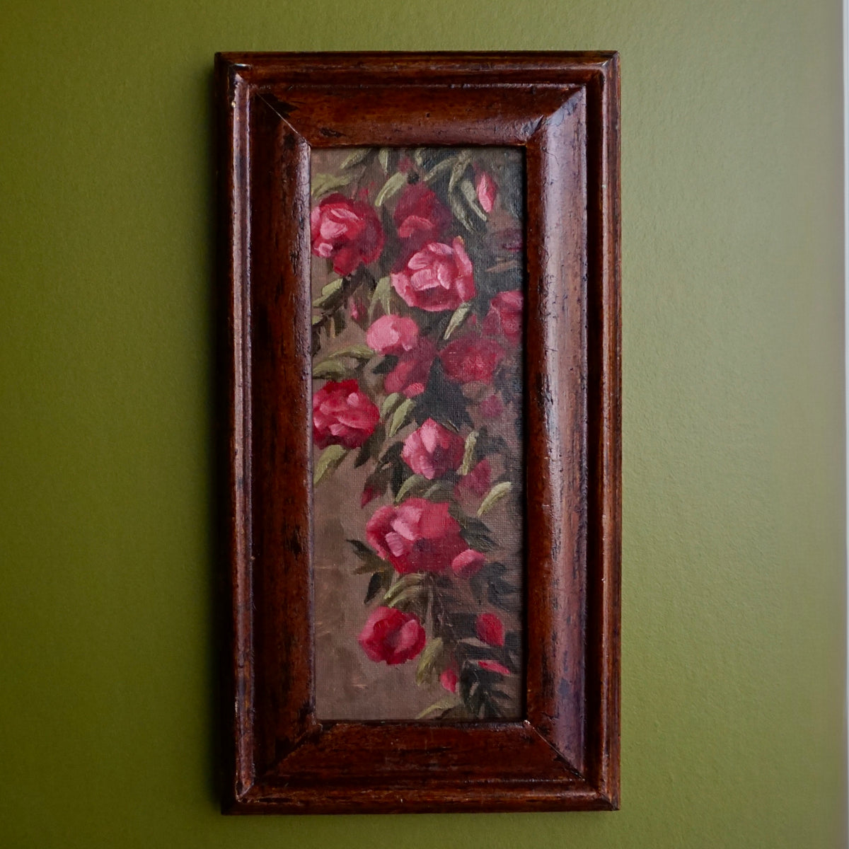Climbing Rose