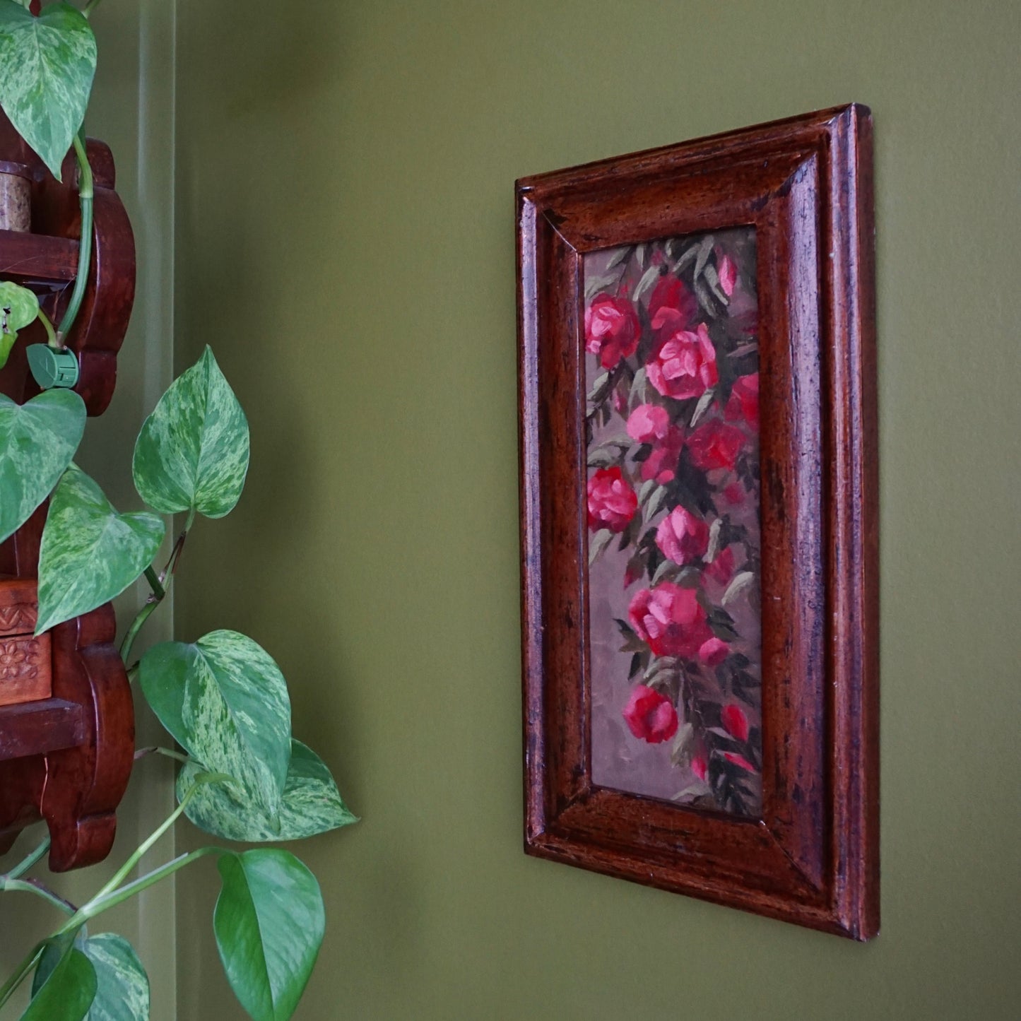 Climbing Rose