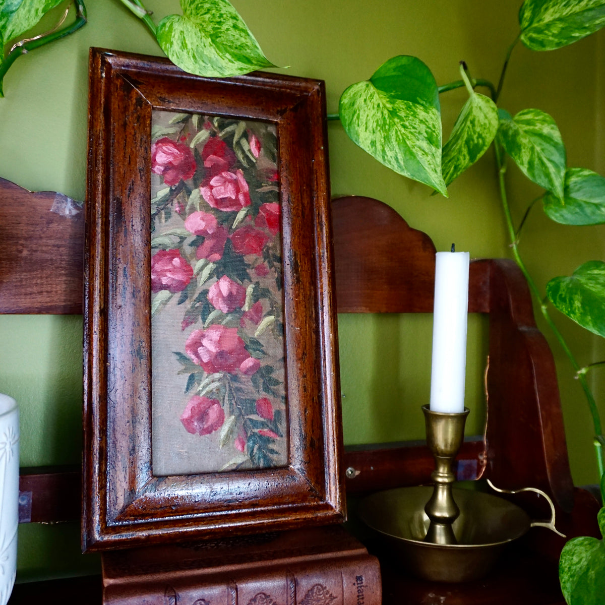 Climbing Rose