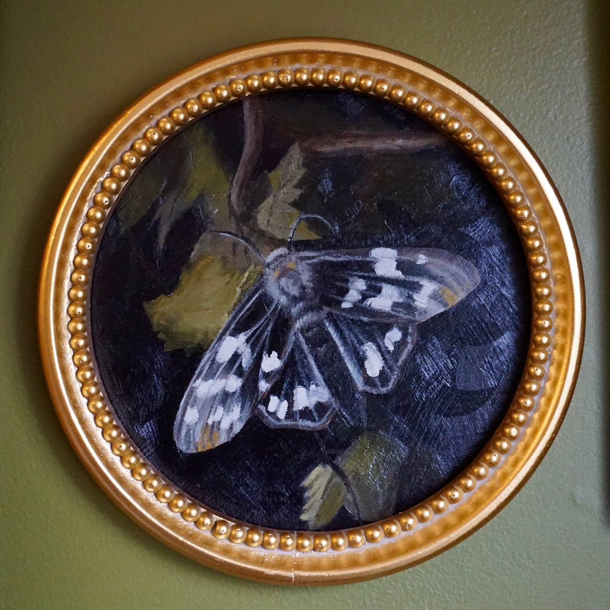 Moth