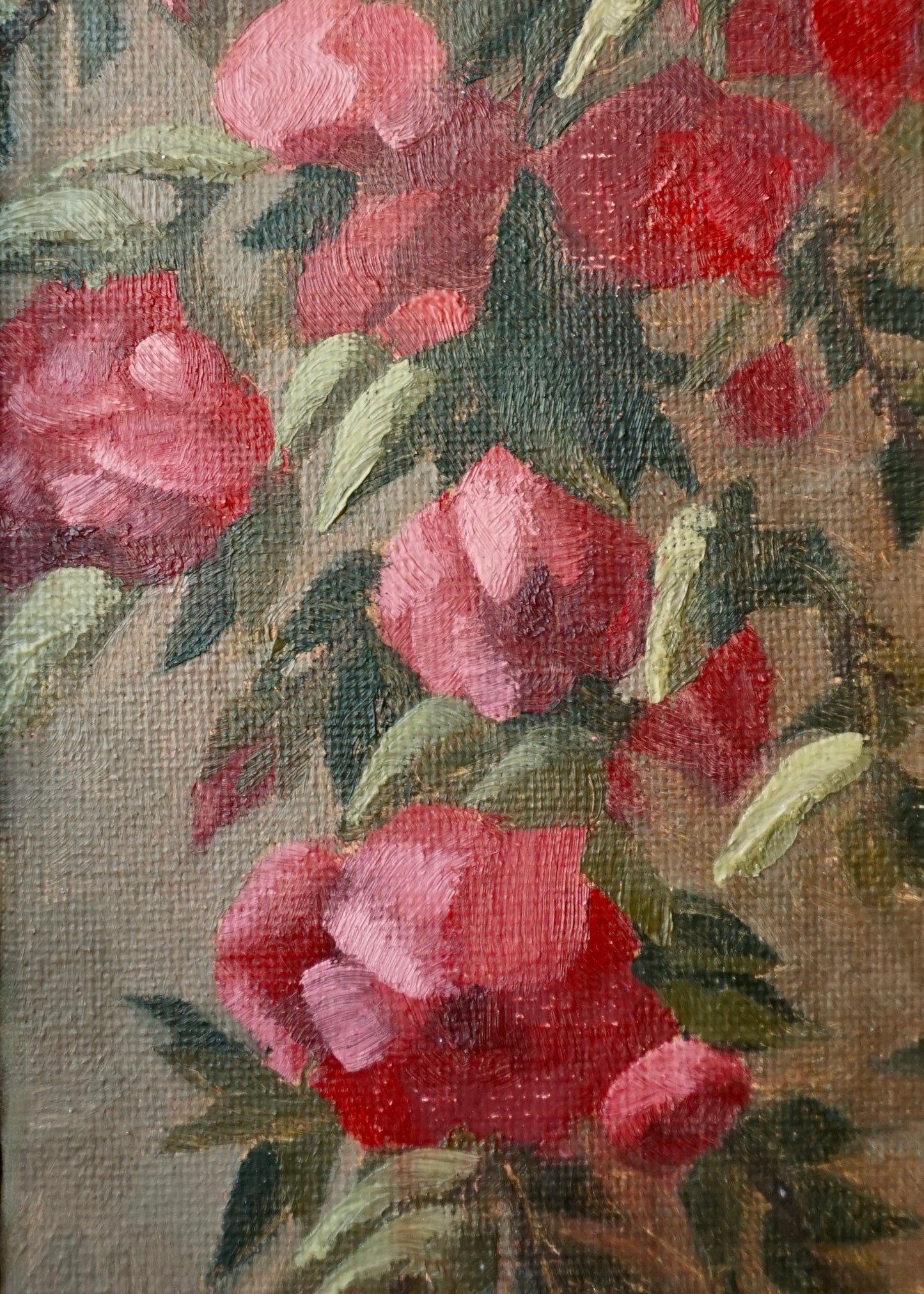 Climbing Rose - print