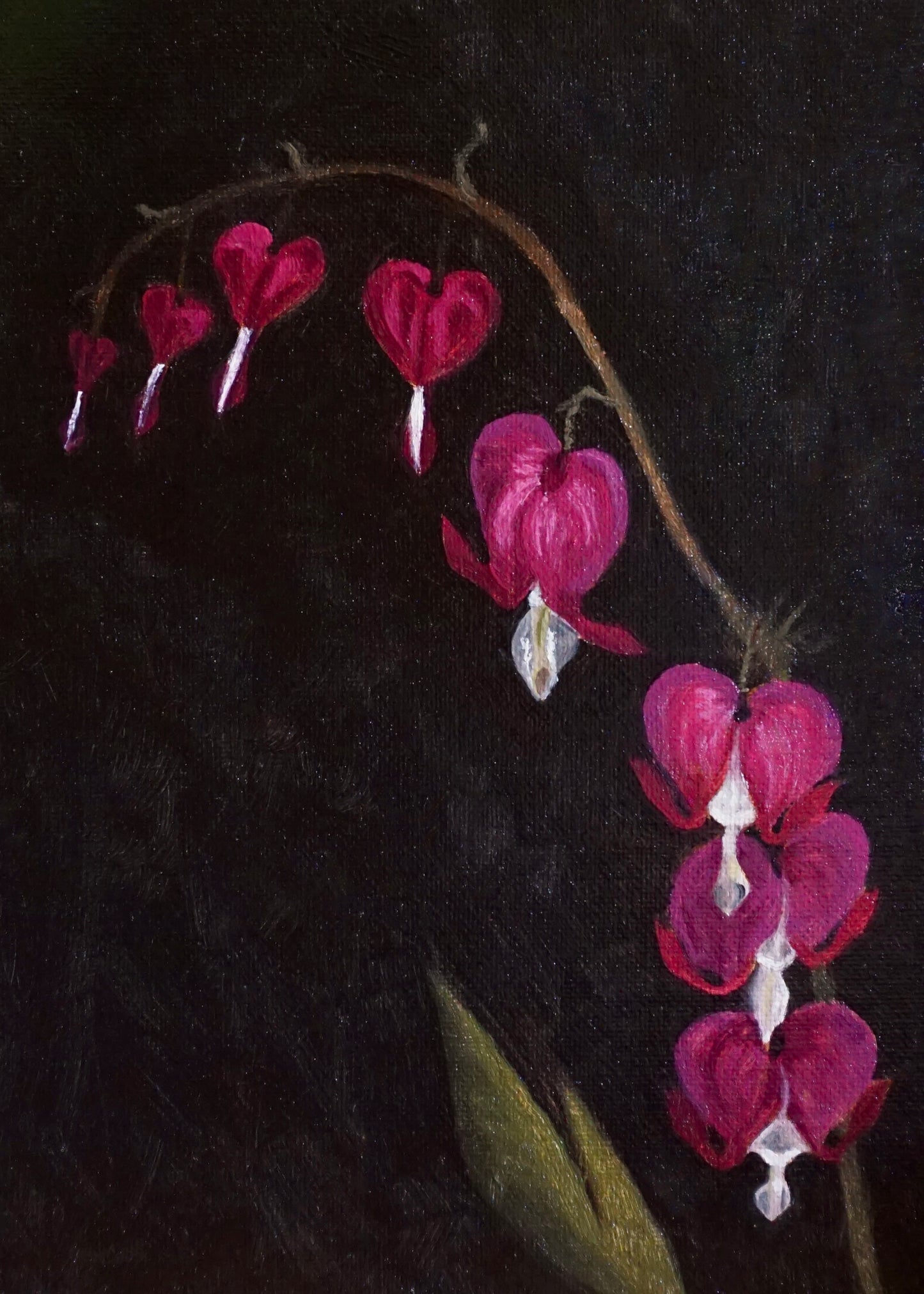 Bleeding Heart - print