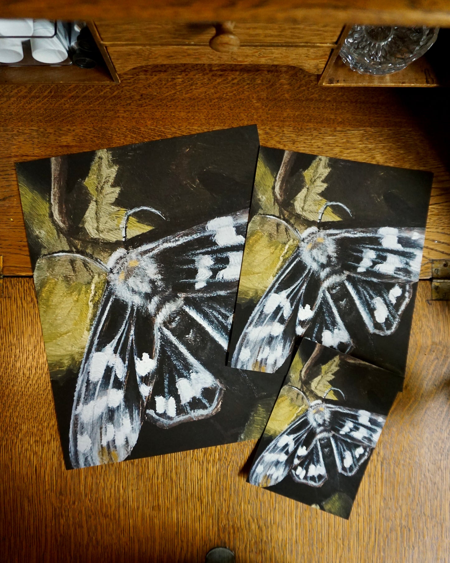 Moth - print