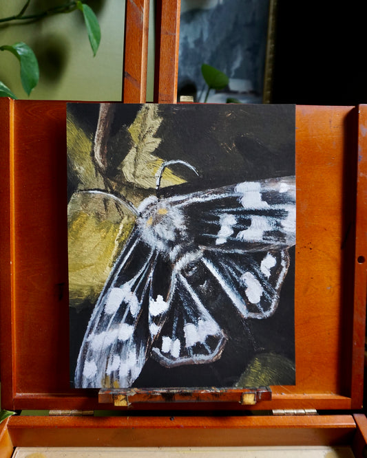Moth - print