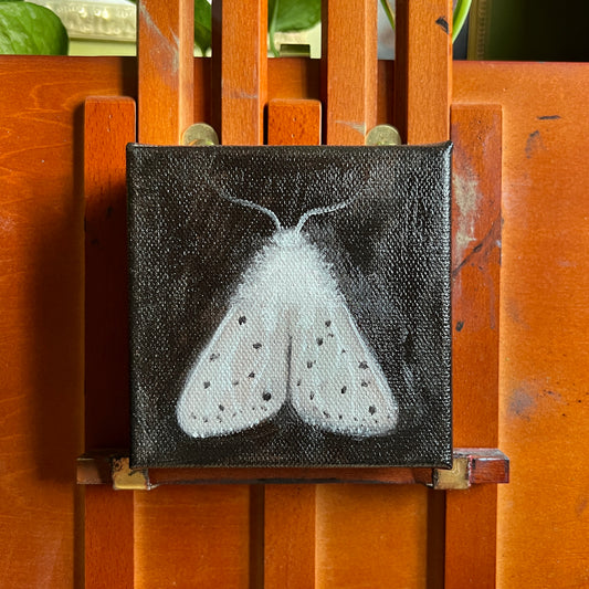 White Moth