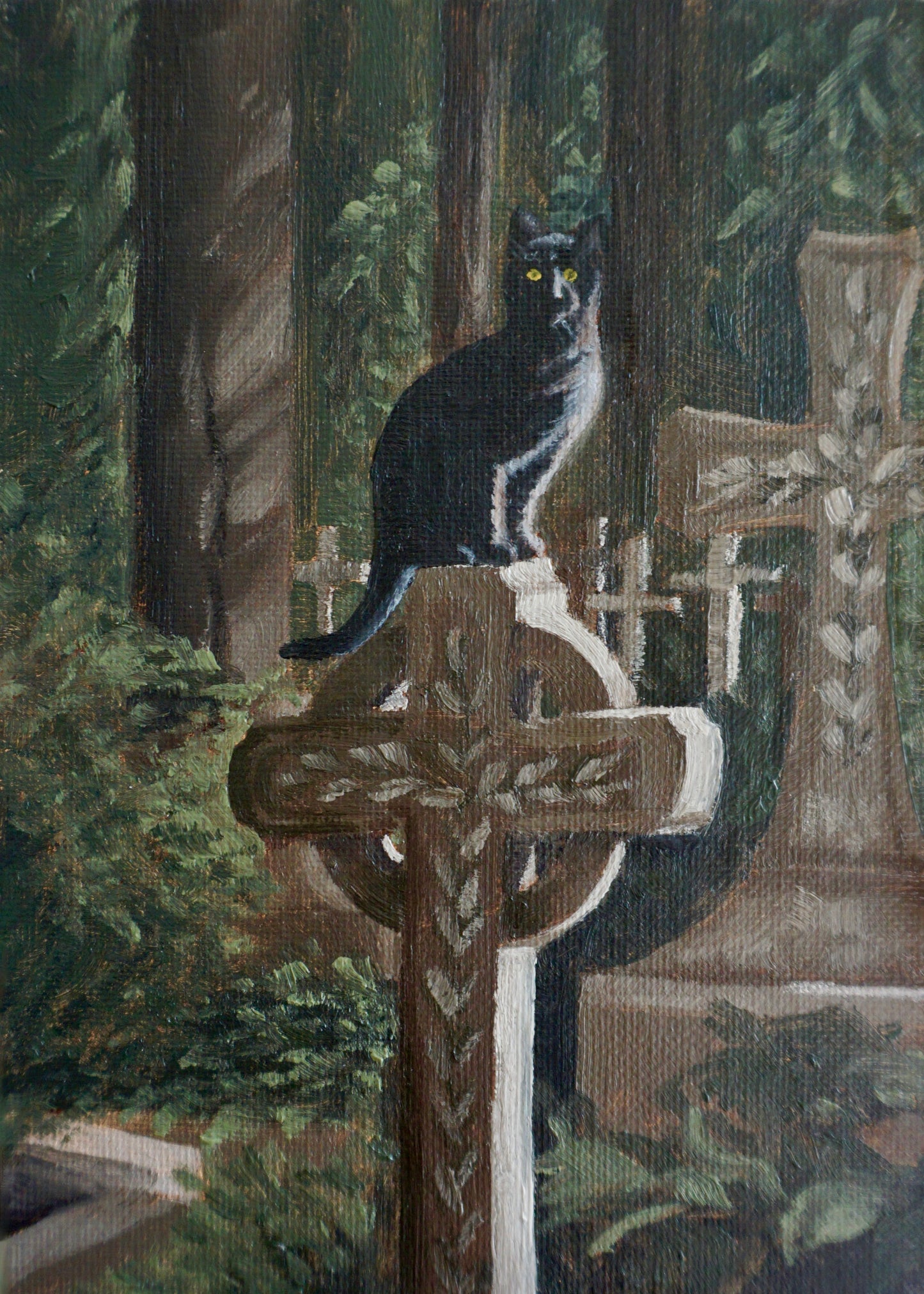 Cat in Cemetery - print