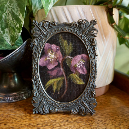 Hellebore