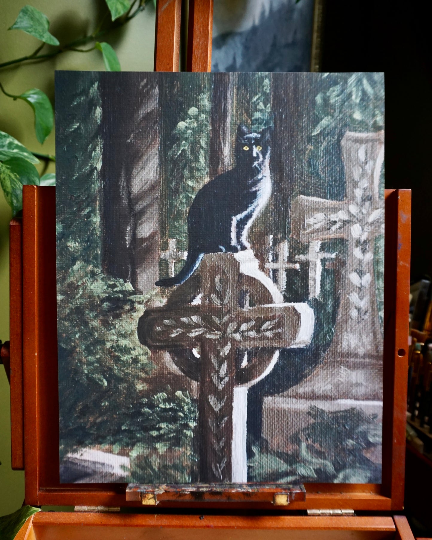 Cat in Cemetery - print