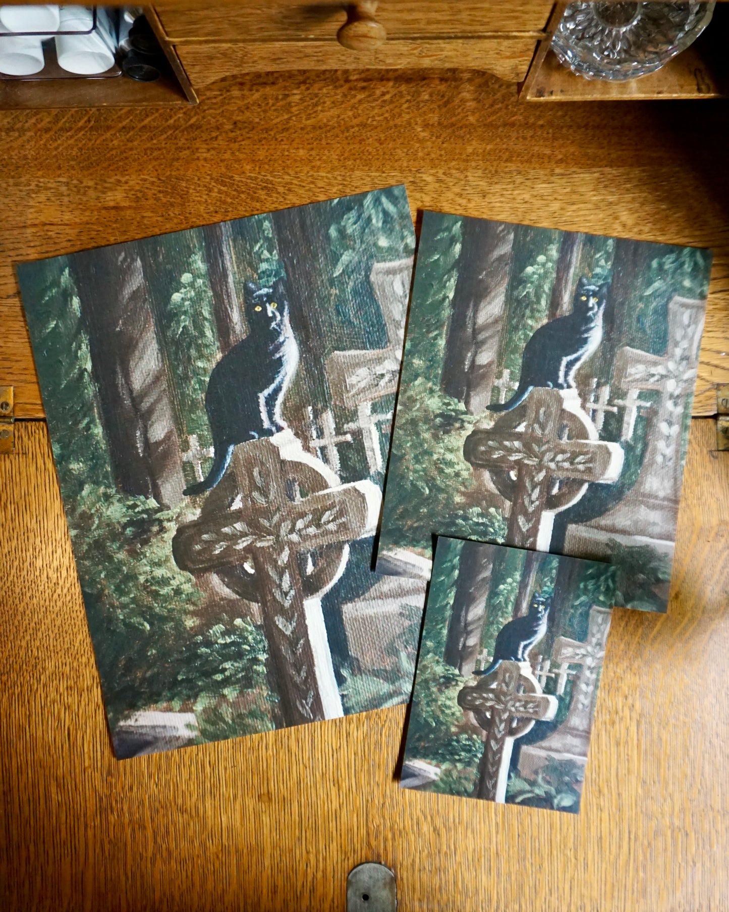 Cat in Cemetery - print