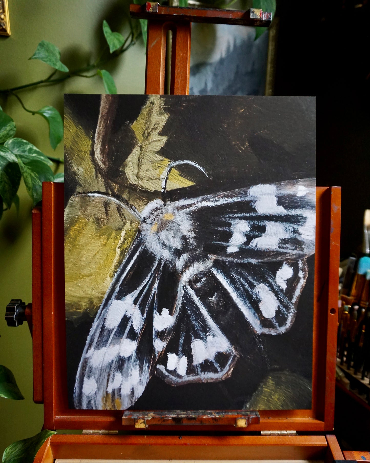 Moth - print