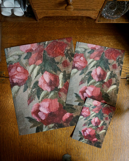 Climbing Rose - print
