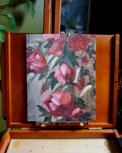 Climbing Rose - print