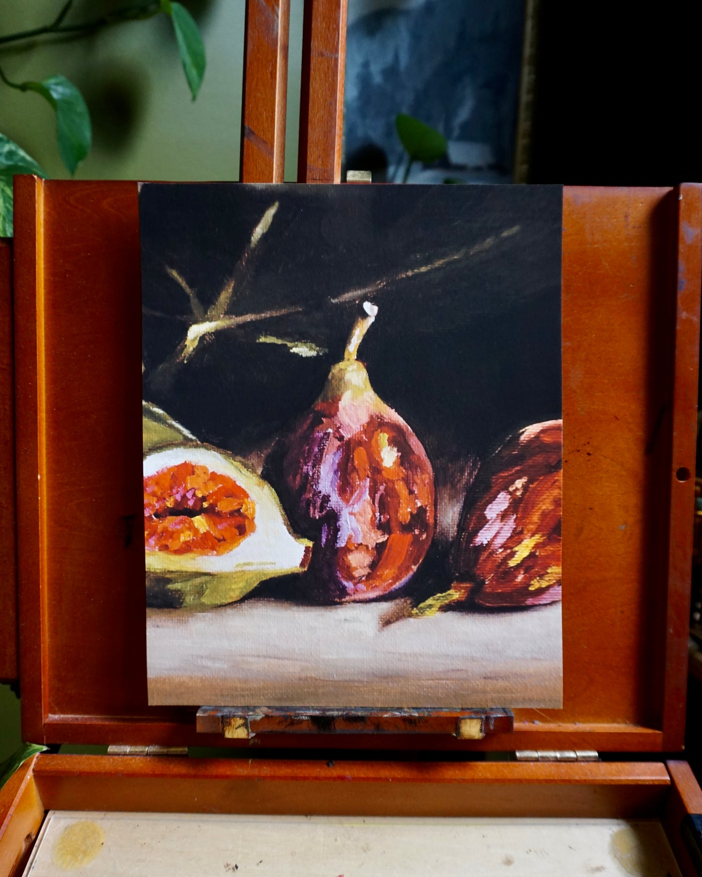 Figs - print