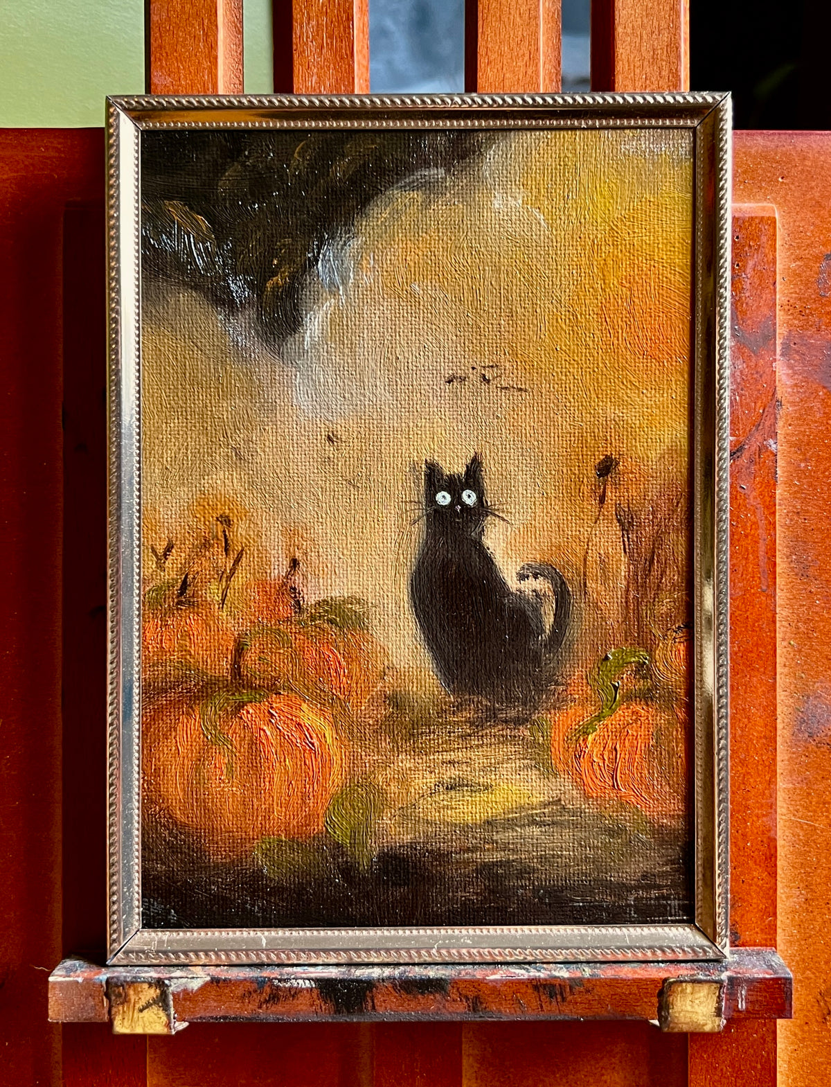 Black Cat in a Pumpkin Patch