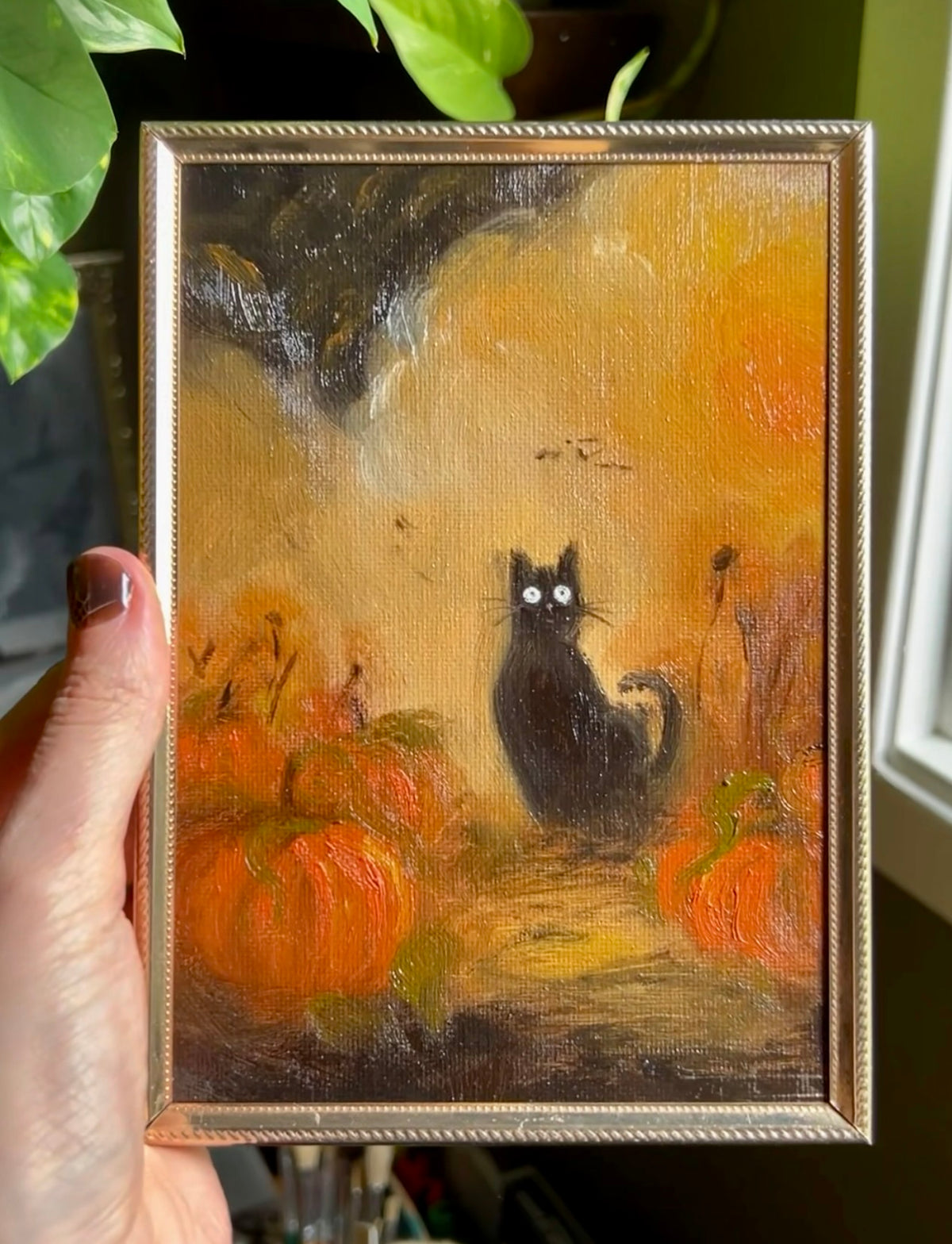 Black Cat in a Pumpkin Patch