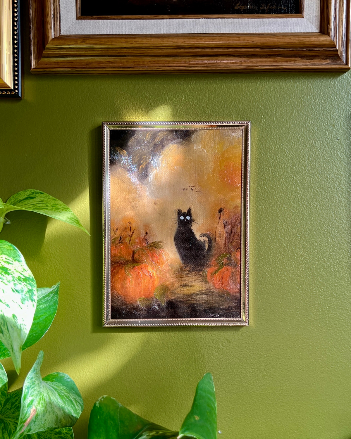 Black Cat in a Pumpkin Patch