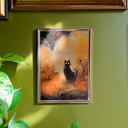 Black Cat in a Pumpkin Patch