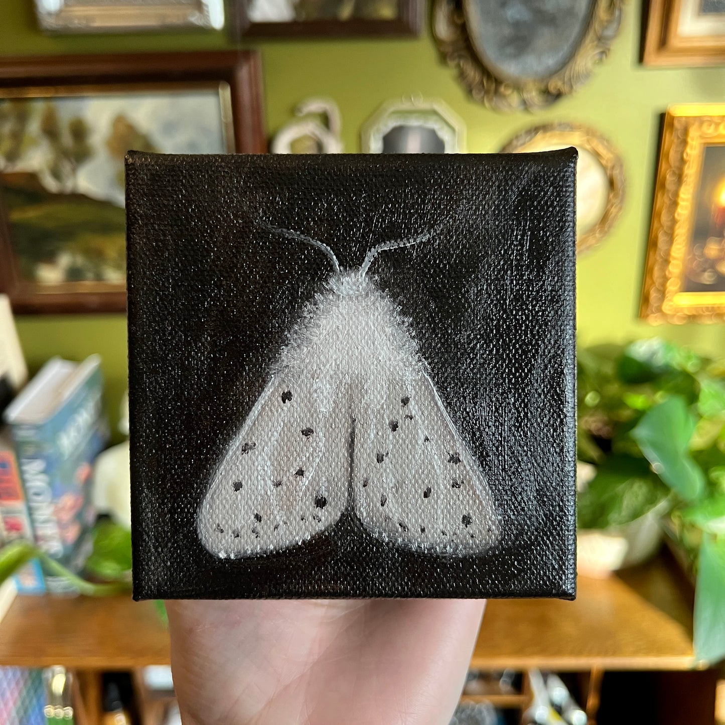 White Moth
