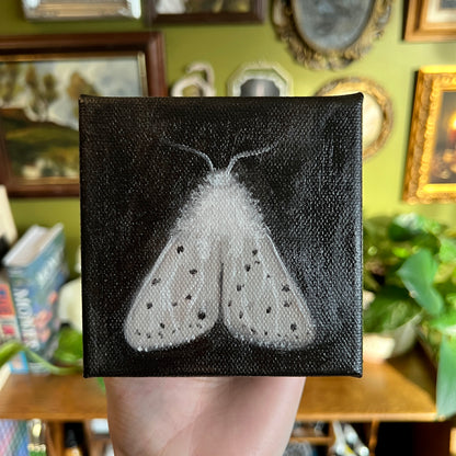 White Moth